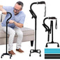 Stand Assist Cane